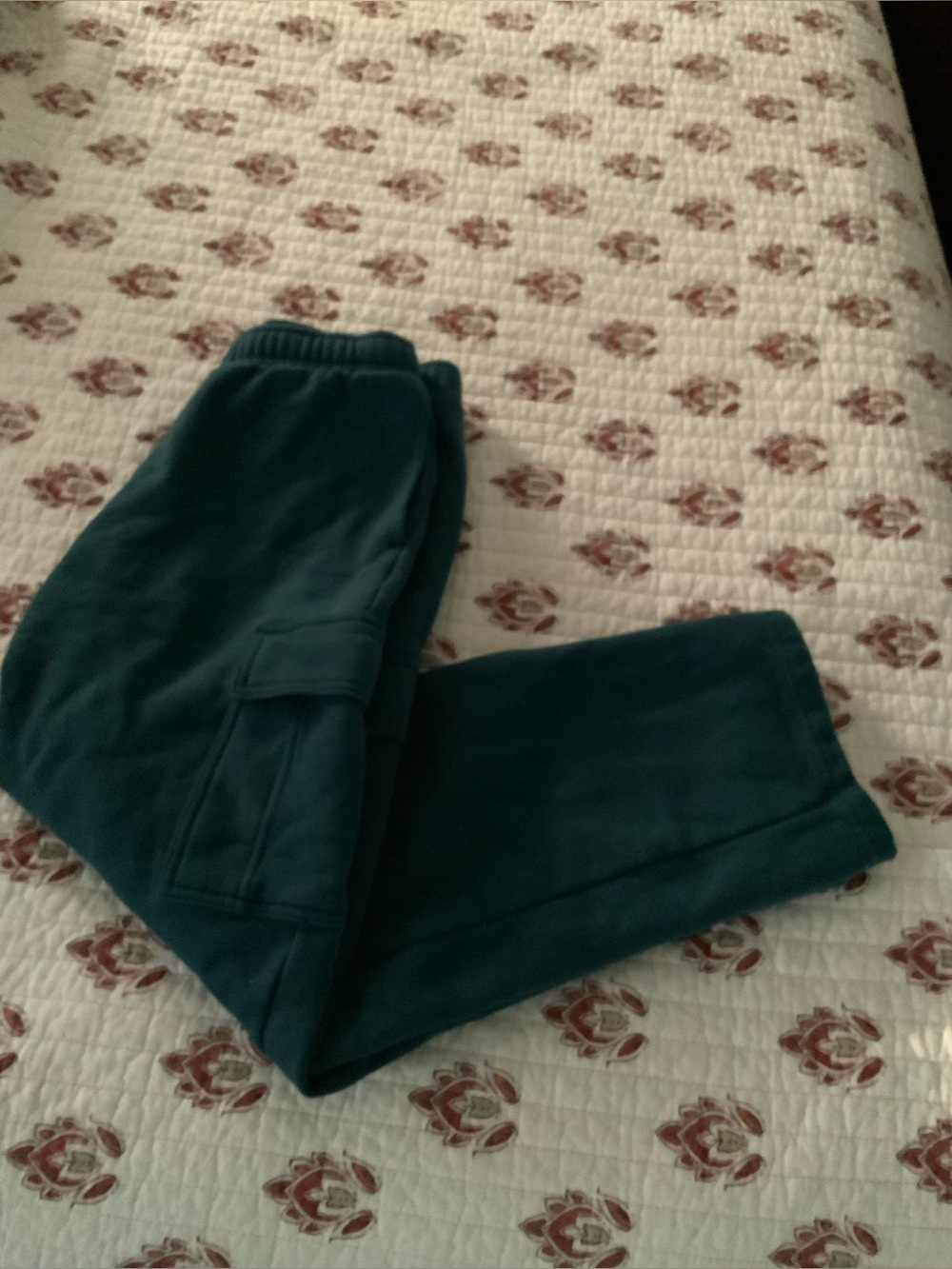 Aritzia Teal Cargo Joggers